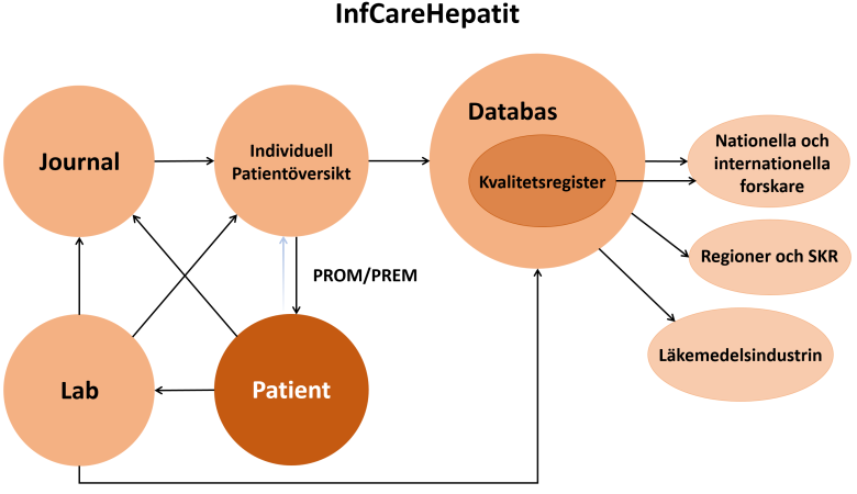 InfCareHepatit register översikt 2025